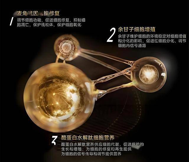 EC Markets代理选择最优EA智慧交易平台：提高交易成功率的关键因素